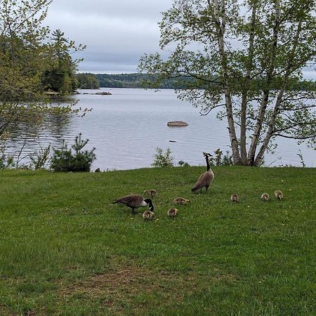 Alamoosook Lakeside Inn Orland Exteriör bild