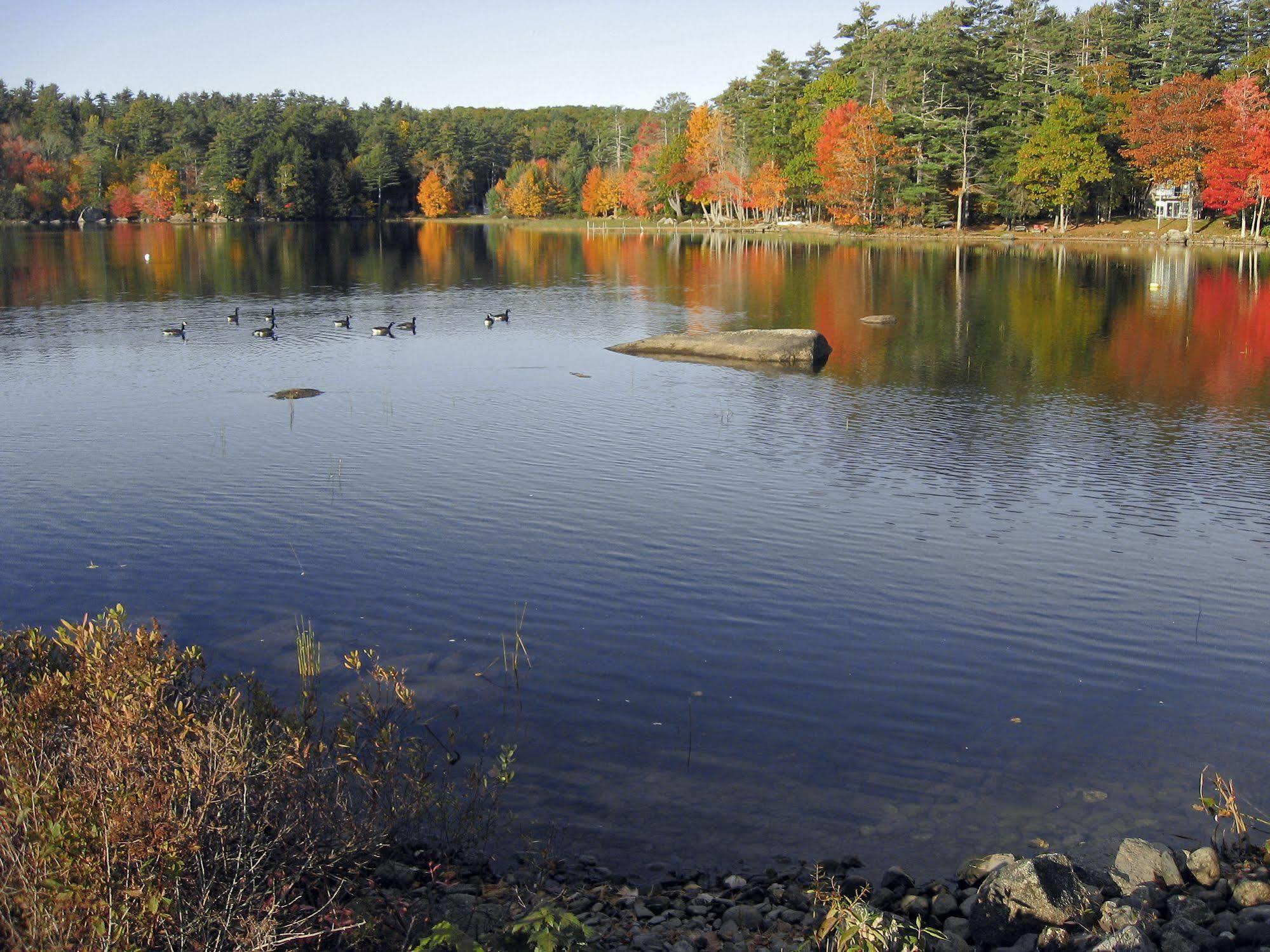 Alamoosook Lakeside Inn Orland Exteriör bild